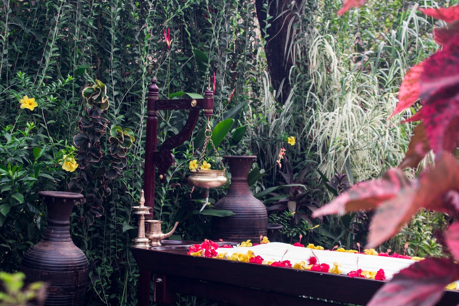 Panchakarma treatment at SWAN Ayurveda, Assagao, Goa